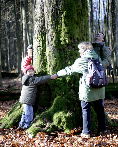 Wandern und Natur im Bayerischen Wald